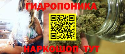 ECSTASY Тула