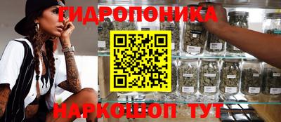 ECSTASY Тула