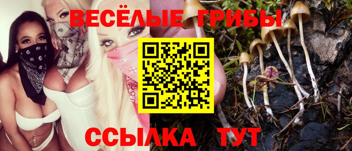 даркнет сайт  Галлюциногенные грибы GOLDEN TEACHER  Вход с VPN  Алейск 