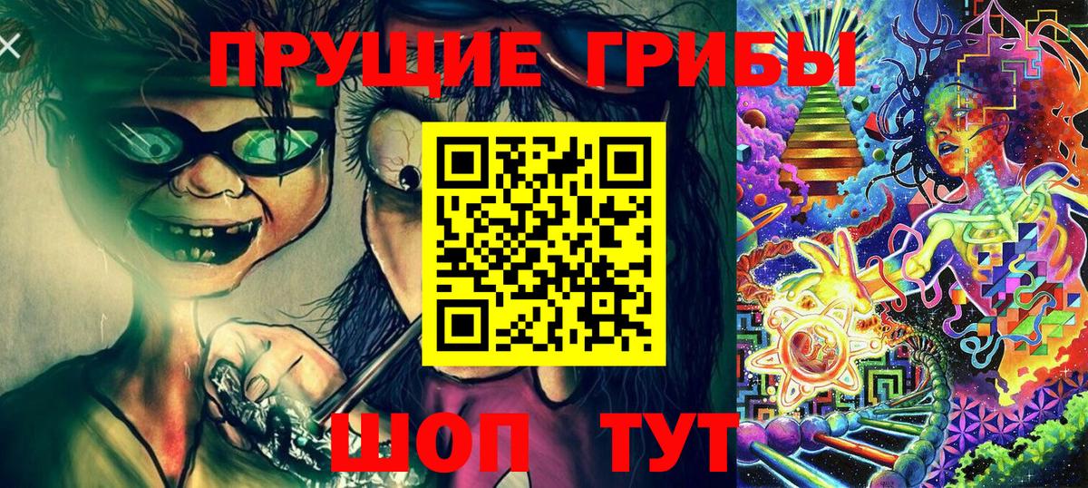 Галлюциногенные грибы Psilocybe Алейск