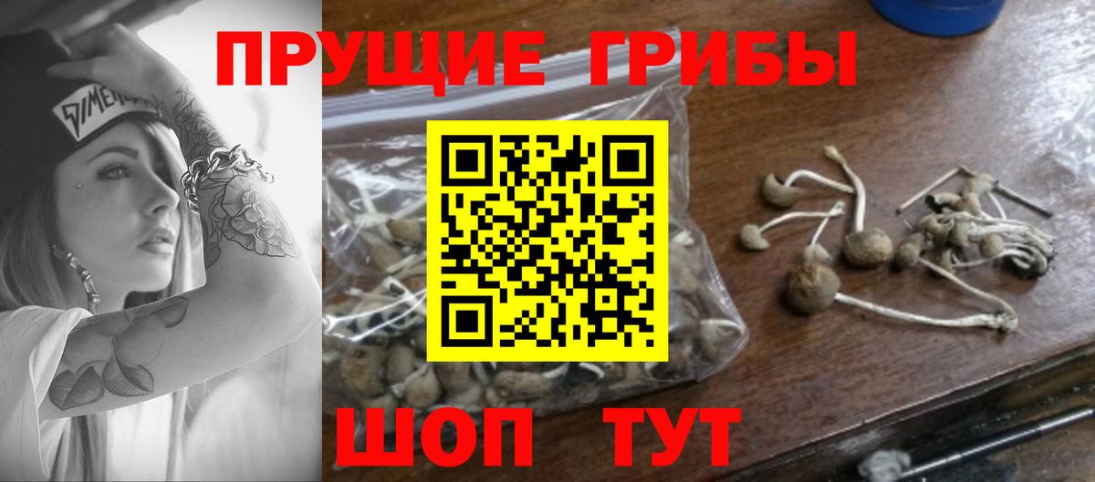 МАРИХУАНА  ЭКСТАЗИ  Меф кристаллы  Гашиш  Алейск  ТГК  COCAIN  Вход с VPN 